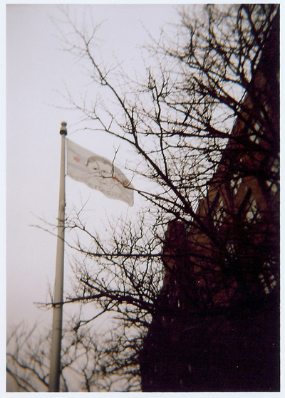 Tim Pigott - Stud's Terkel flag -Temporary Allegiance