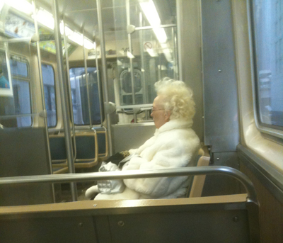 Snow Queen on the northbound brown line